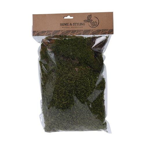 mousse artificielle vert 100g