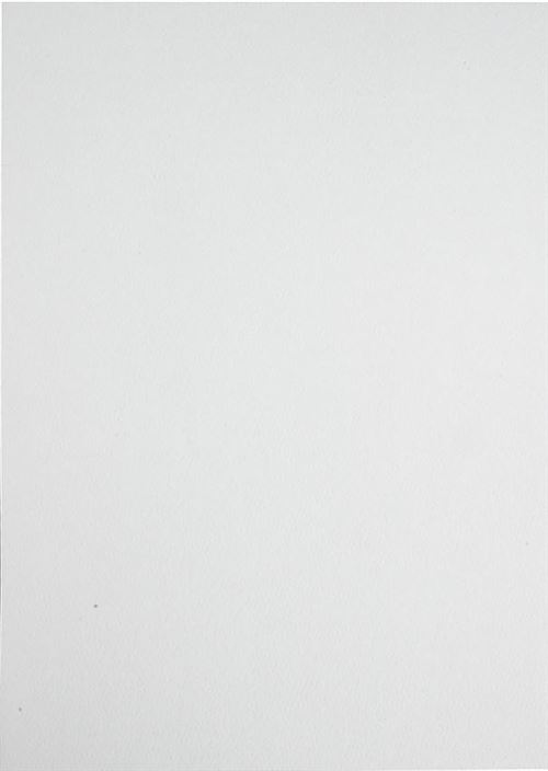 Papier cartonné Blanc cassé A4 - 135 gr - 25 pcs - Papier Fantaisie - Achat  & prix