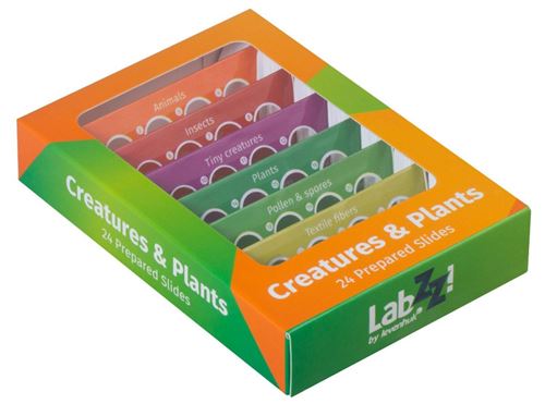 Lames pour microscopes Levenhuk LabZZ CP24 créatures et plantes