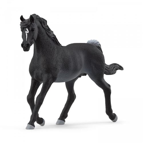 Non Communiqué Multicolore 13981 Figurine Étalon Arabe