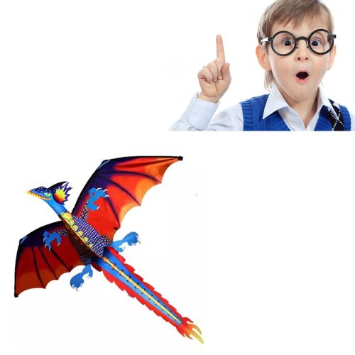 Cerf-volant en forme de dragon pour enfants et adultes Le cerf-volant de  155,7cm