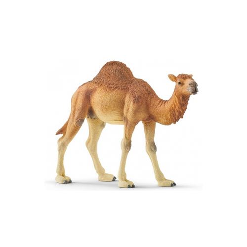 Schleich Figurine Dromadaire Wild Life - Image 2