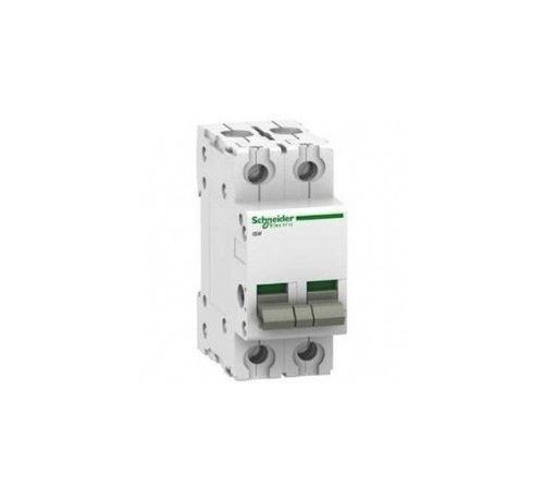 Disjoncteur isotherme 2P 100A AC iSW-100-2 A9S65291 Acti9 - Image 5