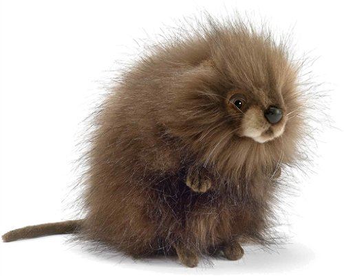 Anima - Peluche Rat Musqué© - 18 cm 18xcm