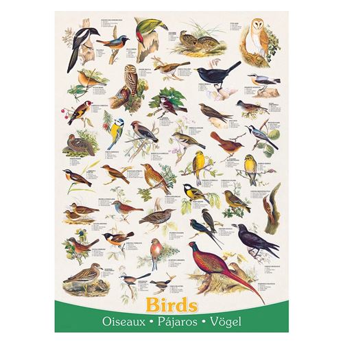 Birds 1000 piece puzzle