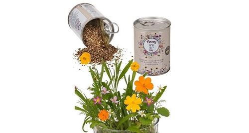 Canette avec graines de fleurs des prés à planter