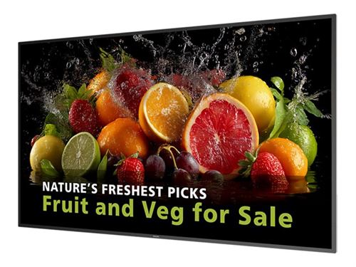 PHILIPS  65BDL5050D - Classe de diagonale 65"" (64.5"" visualisable) - 5000 Series &eacute;cran LCD r&eacute;tro-&eacute;clair&eacute; par LED - signalisation num&eacute;rique -