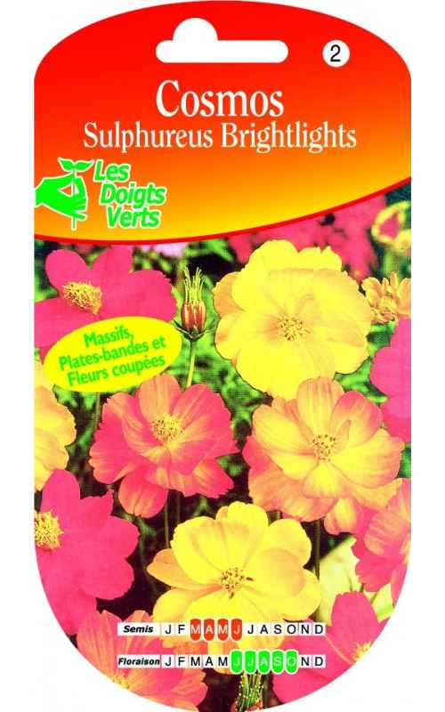Semence Cosmos Sulphureus Brightligts