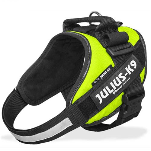 Julius-K9 IDC-Powerharness Harnais pour chien