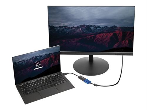 Startech.com Adaptateur Vidéo Usb 3.0 Vers Vga - Carte Graphique Externe Avec Installation Du Pilote Intégrée - M/F - 1920X1200 - Adaptateur Usb / Vga - Usb Type A (M) Pour Hd-15 (Vga) (F) - Usb 3.0 - 19.5 M - Support 1920 X 1200 (Wuxga) - Pour P/N: Mx