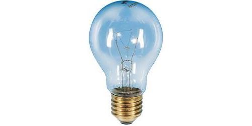 Ampoule de four Barthelme E27 60 W 1 pc(s)