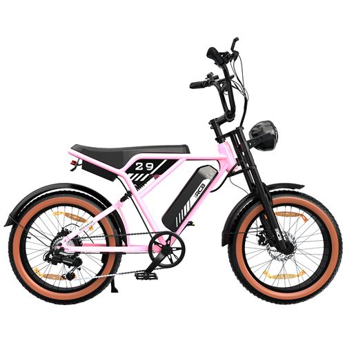 550€ sur RCB Vélo Électrique,20 VTT Fat Bike Electrique Adulte Pliable, Batterie 36V/12Ah,Moteur 250W,Portée 35-90km,Shimano 7 Vitesses,E-Bike  Ville - Vélo électrique - Achat & prix