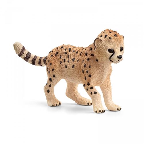 Non Communiqué Wild Life Bébé Guépard