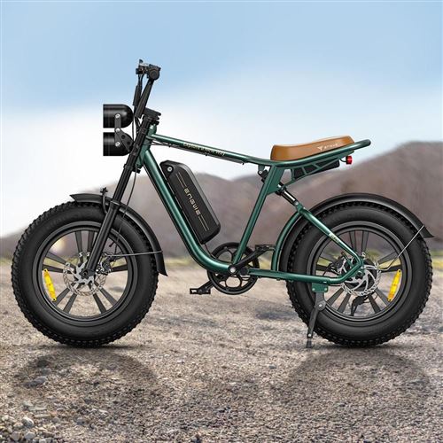 V&eacute;lo &eacute;lectrique ENGWE M20 750W - Autonomie 60KM - Freins &agrave; disque-Vert