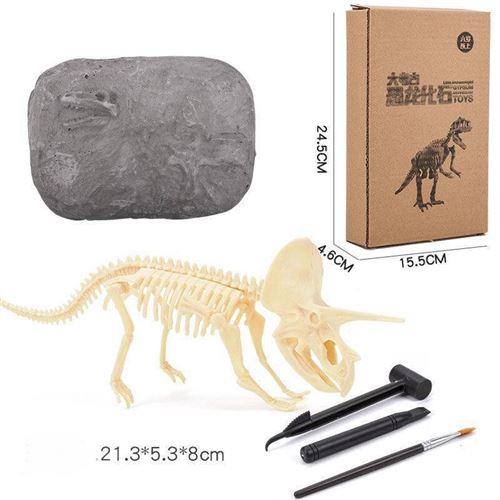 Parfait Formation Enfants Intelligence Cadeaux Ceratosaurus Catkoo Dinosaure Fossile Squelette Excavation Creuser Kit DIY Assemblée Éducatifs Enfants Jouet