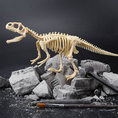 Parfait Formation Enfants Intelligence Cadeaux Ceratosaurus Catkoo Dinosaure Fossile Squelette Excavation Creuser Kit DIY Assemblée Éducatifs Enfants Jouet