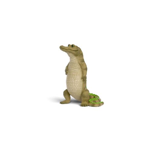 Non Communiqué Rick Le Crocodile