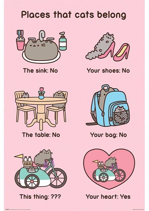 Affiche Maxi Pusheen Places Cats Belong