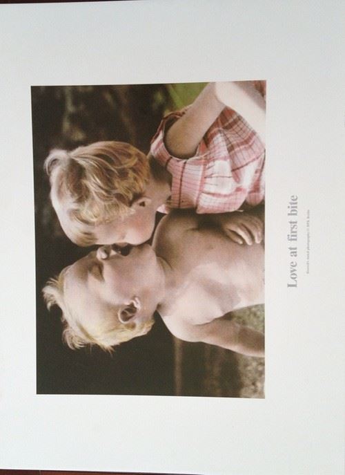 Love At First Bite - 45x60 cm - AFFICHE / POSTER