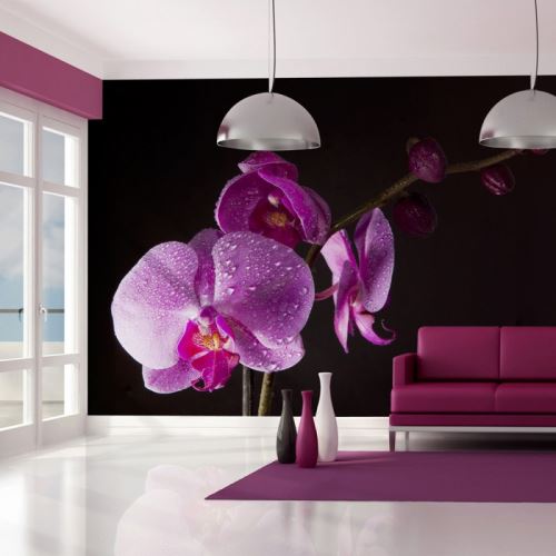 Papier peint - de bon goût orchidée - Size: 350x270
