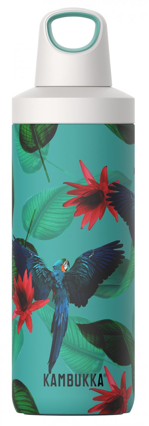 Kambukka Reno Insulated flacon thermos Perroquets 500 ml vert