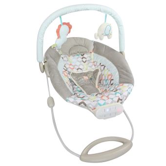 Leogreen Transat Pour Bebe Berceuse Modele Lion Dimensions 73 X 72 X 50 Cm Balancelles Achat Prix Fnac