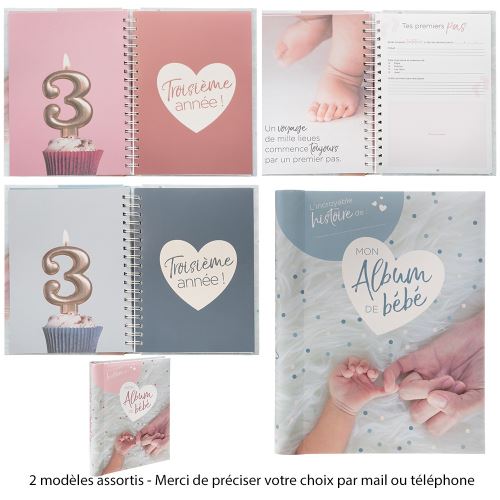 Livre Naissance Album Bebe 100 Pages Livre D Or Achat Prix Fnac