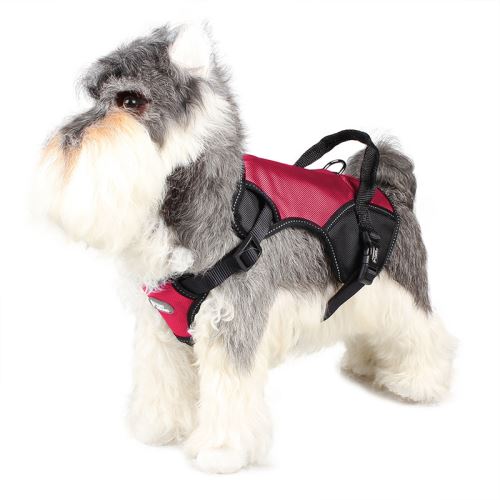 Comparer les prix de Harnais TUFFHOUND Bonne qualité Durable pour chien - Rouge (Taille: L)