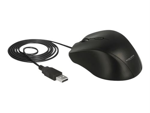 Delock - Souris - pour gauchers - optique - 5 boutons - filaire - USB - noir - Pour la vente au détail