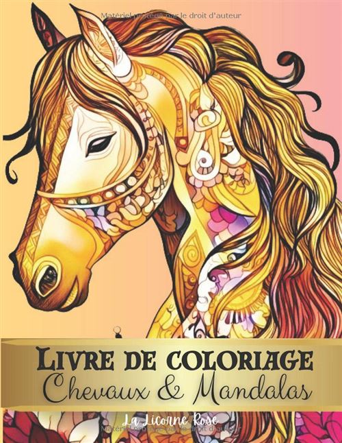 Livre De Coloriage Chevaux &Amp; Mandalas – 70 Dessins Anti-Stress À Colorier Pour Cavaliers, Cavalières Et Amoureux De L’Équitation