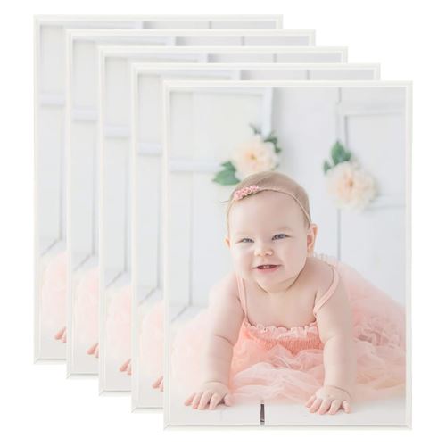 vidaXL Collage de cadres photo 5 pcs de mur table Argenté 29,7x42 cm
