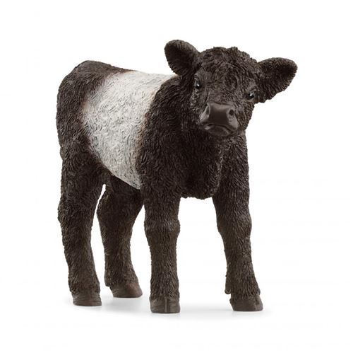 Non Communiqué Multicolore 13969 - Schleich - Veau Galloway