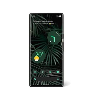 google pixel 6 pro with fi