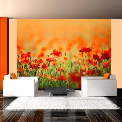 Papier peint - Coquelicots, beaux jours d'été - 250x193 -
