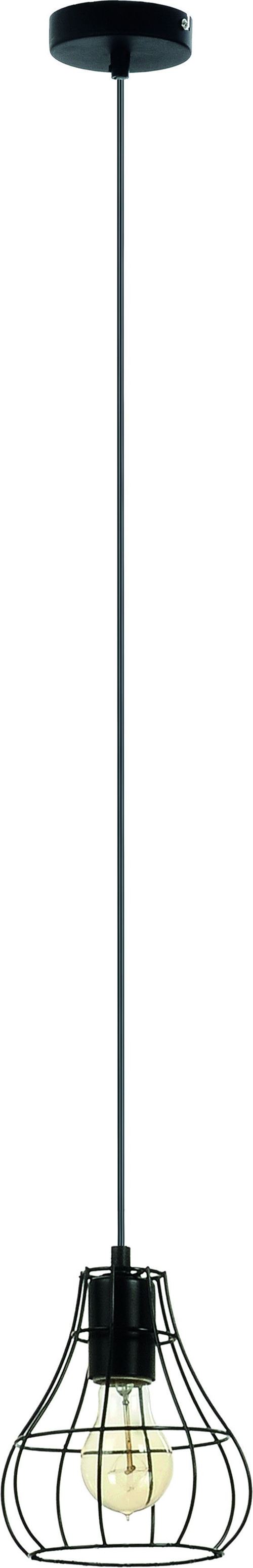 Paris Prix - Lampe Suspension Figue outline 16cm Noir