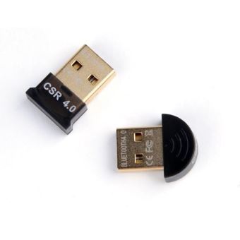 USB Bluetooth 5.0 EDR Adaptateur Mini Clé USB Dongle sans Fil pour Windows  10-8.1-8-7 (32-64 Bits) pour Souris-Clavier-Imprimant - Cdiscount  Informatique