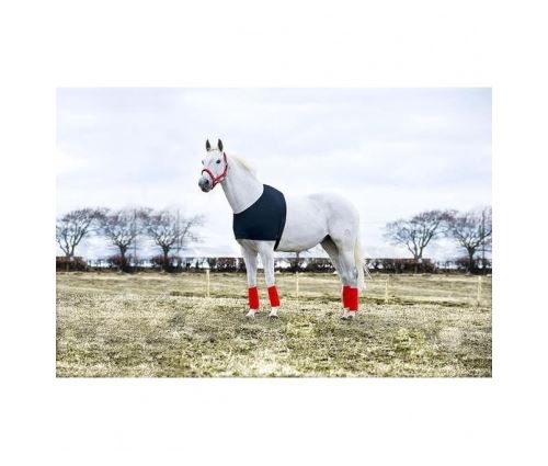 Horze protection depaules pour chevaux comforce- taille s - noir