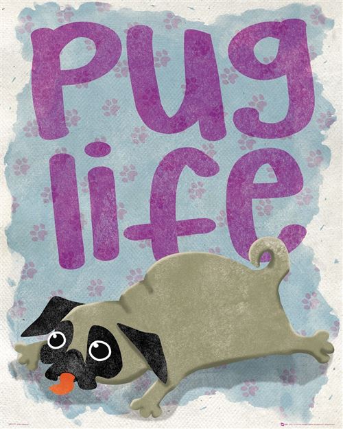 Affiche Mini Pug Life Life