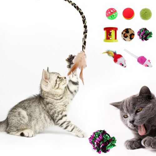 Meilleurs prix pour Jouet pour chat ,Jeu de 21 poissons jouets interactifs