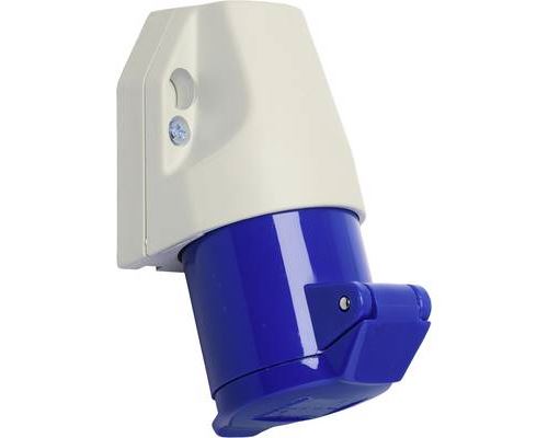 Walther Werke 110306 110306 Prise murale femelle CEE 16 A 3 pôles 230 V