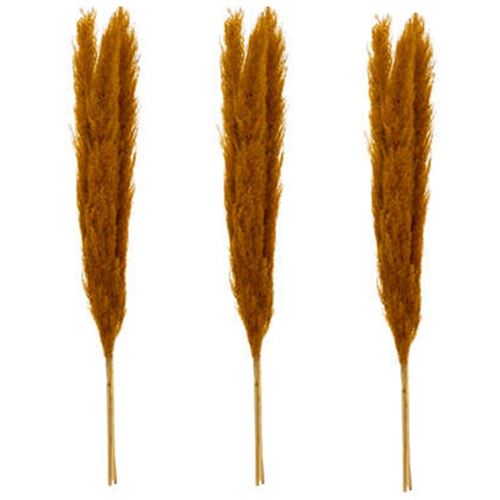 Non Communiqué Jaune Atmosphera Créateur D'intérieur - Lot De 3 Fleurs Artificielles "Pampa" 109Cm Orange