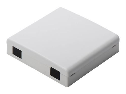 DIGITUS Professional DN-931087 - Prise - montable sur mur - gris, RAL 7035 - 2 ports