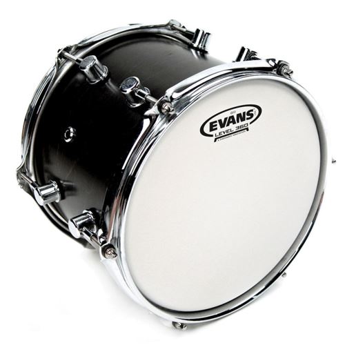 Evans B14G12 - Peau blanche G12 sablée, 14 pouces