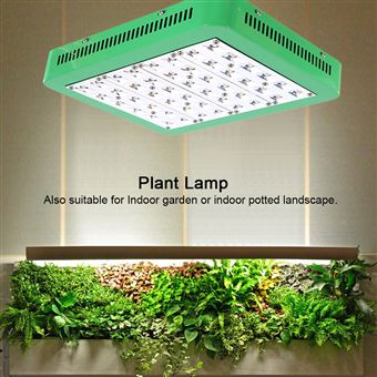 10 Sur Lampe Complet A Led Elevent Spectre 240w Pour Plante
