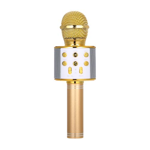Muslady BT Microphone sans fil Haut-parleur de poche Karaoké Mic Lecteur audio portable Enregistreur vocal Microphones KTV (Or)