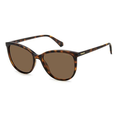 Lunettes de Soleil - POLAROID - PLD 4138/S - HAVANA/BRONZE POLARIZED - Carré - Protection 3