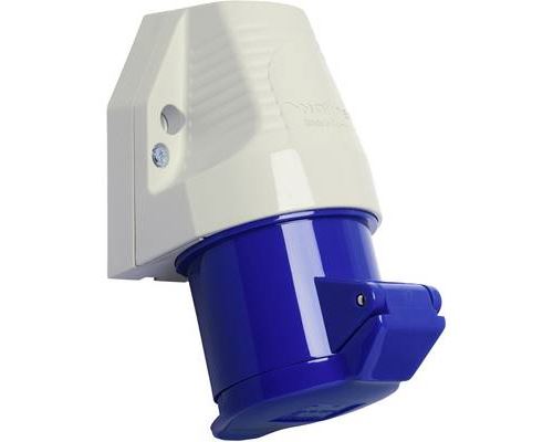 Walther Werke 130306 130306 Prise murale femelle CEE 32 A 3 pôles 230 V