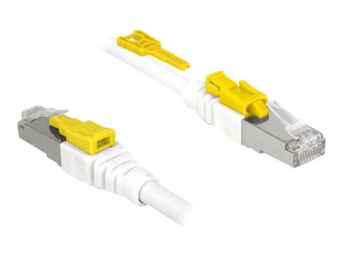 Delock Secure - Cordon de raccordement - RJ-45 (M) pour RJ-45 (M) - 2 m - STP - CAT 6a - sans halogène - blanc