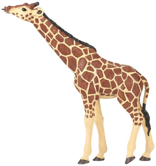 Papo Girafe tête levée, 50236