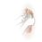 Appareil de massage des pieds Beurer Shiatsu FM 60_2